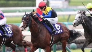 【スプリンターズS】JRA現役に残り3頭のクロフネ産駒 ママコチャが史上初の隔年制覇なるか