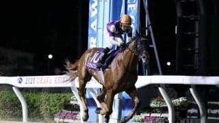 【浦和・オーバルスプリント】サンライズフレイムが交流重賞初制覇…3馬身差完勝