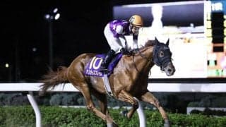 【浦和・オーバルスプリント】菱田「想定以上のいいポジションだった」サンライズフレイムが交流重賞初制覇