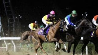 【浦和・オーバルスプリント】武豊「スピードの乗りも悪かった」ガビーズシスターは4着