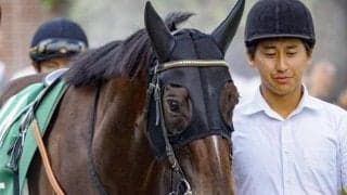 【スプリンターズS】横山典弘騎手が26年ぶりの戴冠なるか 末脚自慢のダノンマッキンリーと初タッグだ