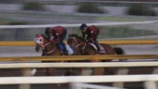 フォーエバーヤング、日本テレビ盃追い切り速報/栗東トレセンニュース