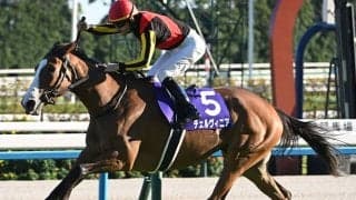  【毎日王冠想定】チェルヴィニアやサトノシャイニングなど9頭