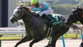 【スプリンターズS】ヤマニン軍団が22年ぶりのJRA・GI制覇なるか ヤマニンアルリフラが頂点狙う