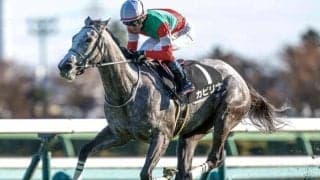 【スプリンターズS予想】伏兵の台頭が目立つレース AIは新興勢力の中から魅力的な一頭を指名