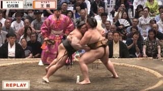 「腕の筋肉すごっ」大相撲、行司の後ろに“ひょっこり”元メジャーリーガーの大投手 「存在感ありますね」