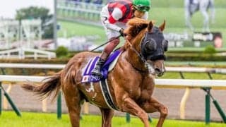 【スプリンターズS】ウイン軍団が22年ぶりのGI制覇へ 古豪ウインカーネリアンが一発狙う