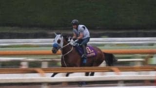 メイショウタバル、天皇賞(秋)追い切り速報/栗東トレセンニュース