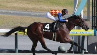 【シリウスS出走馬・騎手確定】テーオーパスワード＆松山弘平騎手、ジンセイ＆川田将雅騎手など14頭