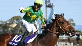 【スプリンターズS・調教後馬体重】サトノレーヴは530kg、ナムラクレアは496kg