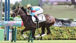 【新馬/中山5R】レイデオロ産駒 フロレセールが人気に応える