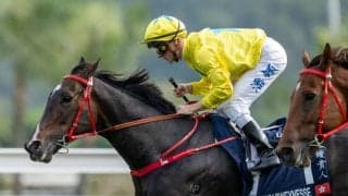 【スプリンターズS】出走馬調教後の馬体重…香港ラッキースワイネスは542kg