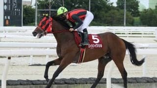 【兵庫ジュベナイルカップ】エイシンイワハシルが接戦制す…リーガルタイムは不利で2着