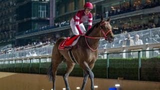 【日本テレビ盃】フォーエバーヤングが出走予定