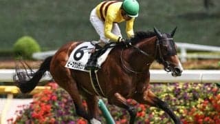 【秋風S】柴田善臣騎手と名コンビのピースワンデュック 菊花賞以来11カ月ぶりの復帰戦だ