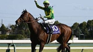 【スプリンターズS枠順確定】サトノレーヴは4枠7番、ナムラクレアは3枠6番