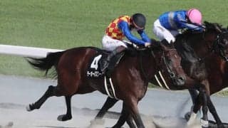 【シリウスS枠順確定】テーオーパスワードは4枠6番、ジンセイは5枠7番