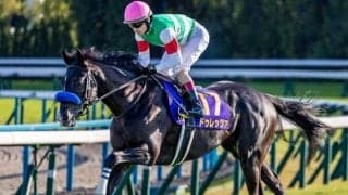 【京都大賞典想定馬・騎手】ドゥレッツァ、ショウナンラプンタなど19頭