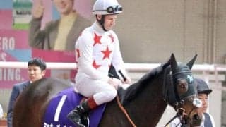 【ポートアイランドS】ミッキー軍団ゆかりの良血 ミッキーゴージャスが1年3か月ぶりの復帰戦だ