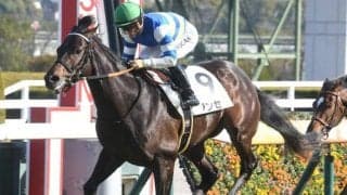 【シリウスS予想】前走の走りは意外と平凡!? 消去法データからも苦戦が予想される人気馬とは