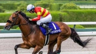 “ゆかりのコース”の新馬戦で実現 大阪杯覇者のきょうだい対決