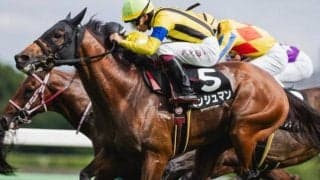 阪神芝はディープ系が優勢 道頓堀Sはモンシュマンで好配狙いだ