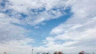 茨城産のシンデレラヒメ 故郷に12年ぶりのJRA勝利を届けるか