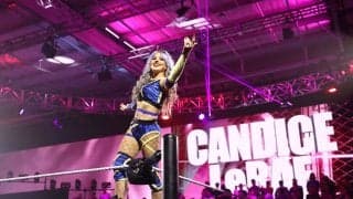 何が起こった？ “妖精”美女レスラー、顔面を“高速叩きつけ”→相手が動けなくなる…圧倒的スピードに会場騒然