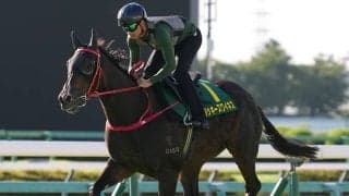 【競馬予想】スプリンターズＳに挑む香港からの「刺客」ラッキースワイネスを侮るなかれ