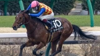 【今日の注目ポイント】シリウスSでテーオーパスワードが3連勝を狙う