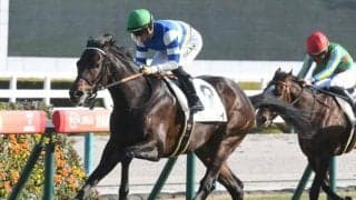 【シリウスS】活躍目立つ芝での実績馬 伏兵での好走も