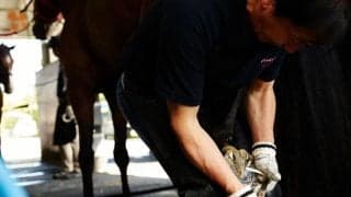 【装蹄師・西内荘コラム】接着装蹄に最適な季節と進化する技術