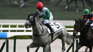 【阪神4R新馬戦結果】キズナ産駒ホワイトオーキッドが追い比べを制してV