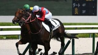 【阪神5R新馬戦結果】コントレイル産駒フリーガーが初陣飾る