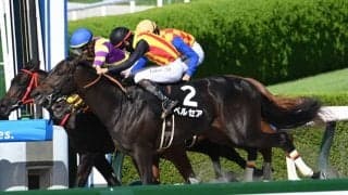 【ヤマボウシ賞結果】ペルセアが接戦を制しデビュー2連勝