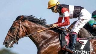 【芙蓉S結果】ウイナーズナインがゴール寸前で差し切り無傷2連勝