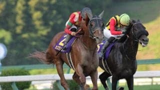 【金沢・白山大賞典枠順】マーキュリーC覇者カズタンジャーは8枠12番