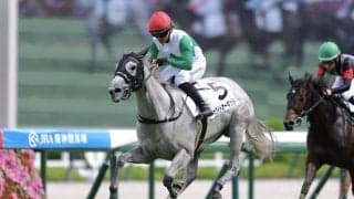 【新馬/阪神4R】キズナ産駒 ホワイトオーキッドがデビューV