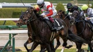 【兵庫特別】セレクト3.1億円で母は米G1馬 ダノンシーマが3勝目なるか