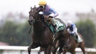 【スプリンターズS予想】今回も悲願達成はならず!? 人気でも年齢と実績から軽視すべき馬とは