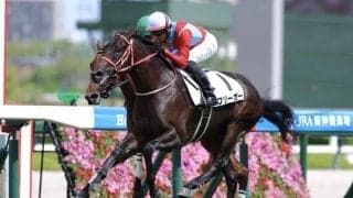 【新馬/阪神5R】コントレイル産駒 フリーガーがデビューV…3億円ホースのイエッサーは最下位