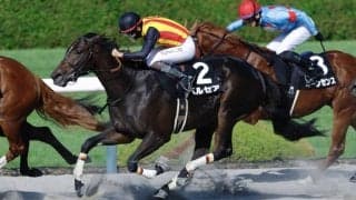 【ヤマボウシ賞】ドレフォン産駒 ペルセアがデビュー2連勝