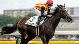 【サフラン賞】母は名牝ノームコア ドリームコアがデビュー2連勝なるか