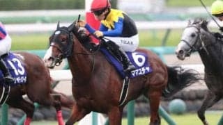 中山芝は圧倒的に内＆前有利 ママコチャに強烈追い風だ