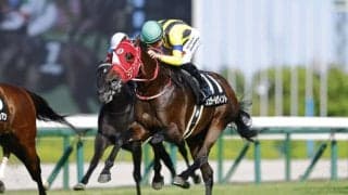 【道頓堀S】良血シュタールヴィントが鮮やかな差し切りV