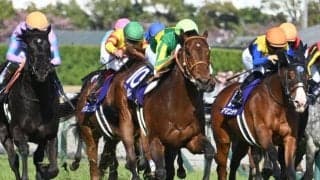 【AI予想・スプリンターズS】昨年の敗戦は参考外！ 春秋スプリントGI連覇へ人工知能も太鼓判