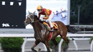 【高知競馬】山崎雅由騎手がメモリアルV…地方競馬500勝を達成