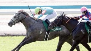 【競馬予想】スプリンターズＳで注目すべき血統は？　レースに縁がある２頭が秋のＧⅠ開幕戦を飾るか