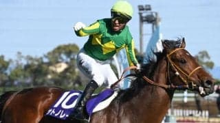 【今日の注目ポイント】秋のGI戦線開幕を告げる電撃6ハロン戦スプリンターズS