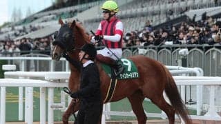 【競馬予想】豪華メンバーが集結したスプリンターズＳ　人気勢の影に隠れた実力馬２頭の一発に期待